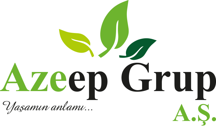 Azeep Grup A.Ş İnşaat Malzeme Tedarik Yapı Taahhüt